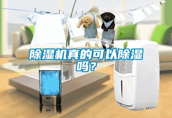 除濕機真的可以除濕嗎？