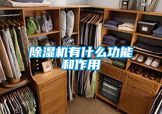 除濕機有什么功能和作用