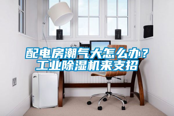 配電房潮氣大怎么辦？工業除濕機來支招