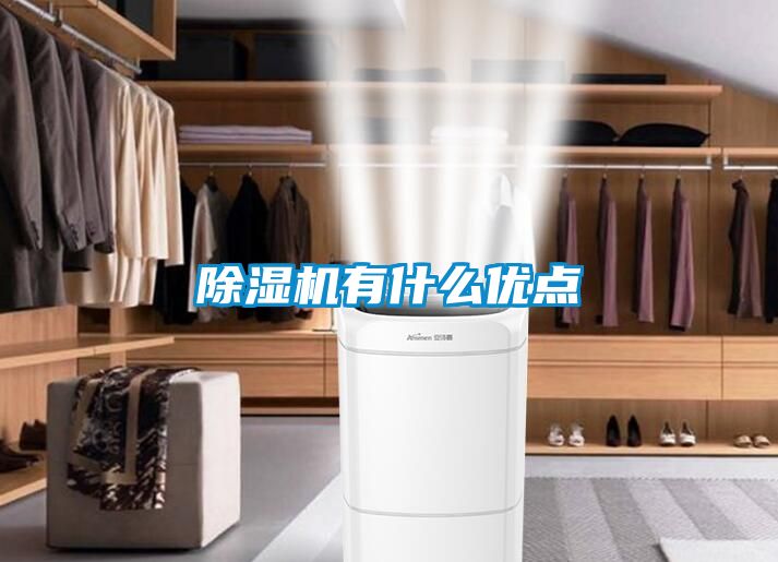 除濕機(jī)有什么優(yōu)點(diǎn)