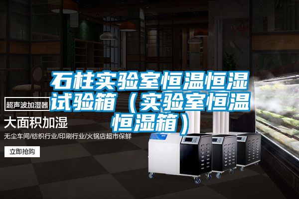 石柱實(shí)驗室恒溫恒濕試驗箱（實(shí)驗室恒溫恒濕箱）