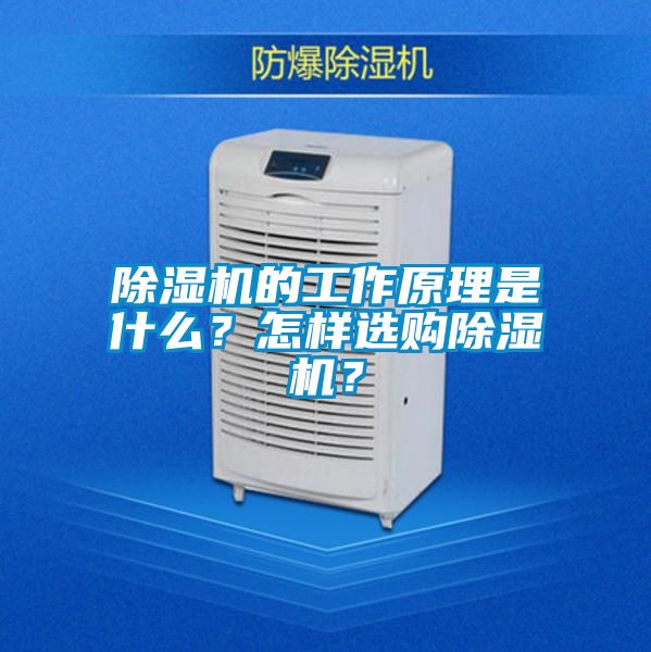 除濕機的工作原理是什么？怎樣選購除濕機？