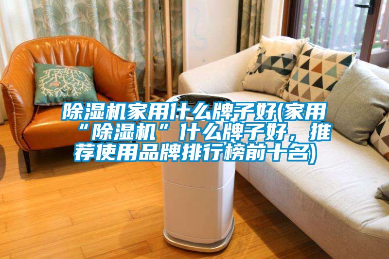 除濕機家用什么牌子好(家用“除濕機”什么牌子好，推薦使用品牌排行榜前十名)