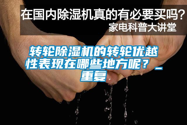 轉輪除濕機的轉輪優越性表現在哪些地方呢？_重復