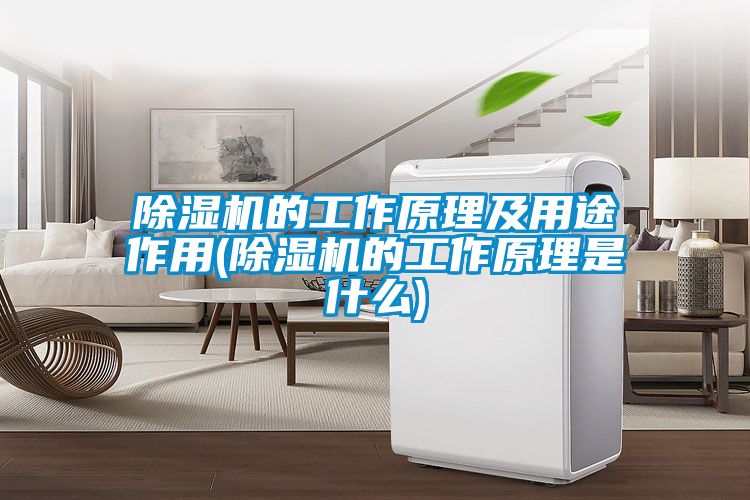 除濕機的工作原理及用途作用(除濕機的工作原理是什么)