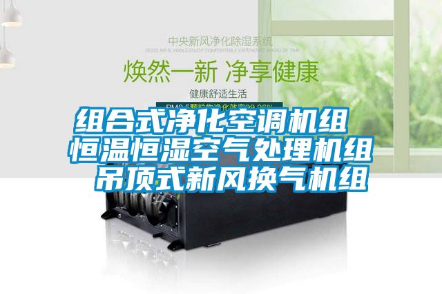 組合式凈化空調機組 恒溫恒濕空氣處理機組 吊頂式新風換氣機組