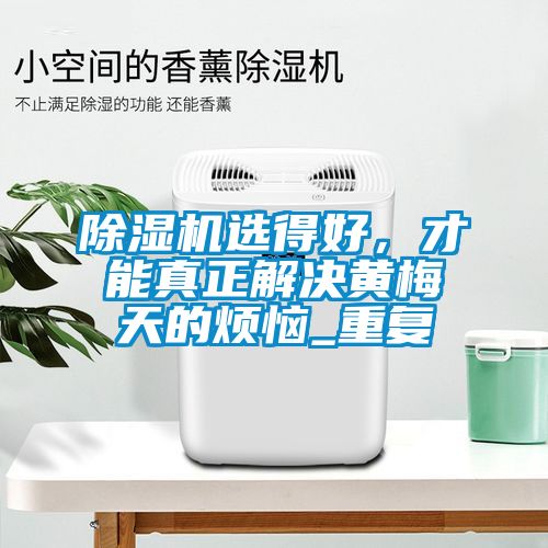 除濕機選得好，才能真正解決黃梅天的煩惱_重復