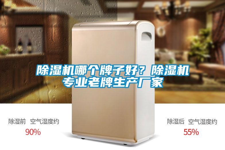 除濕機哪個牌子好？除濕機專業老牌生產廠家
