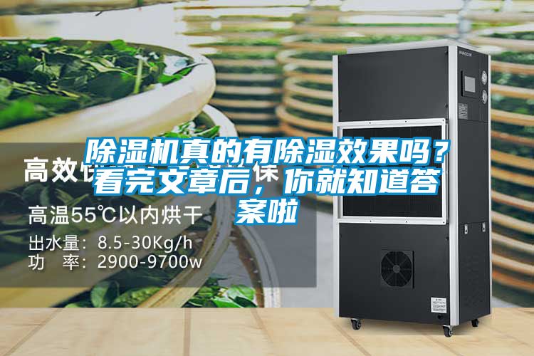 除濕機真的有除濕效果嗎？看完文章后，你就知道答案啦