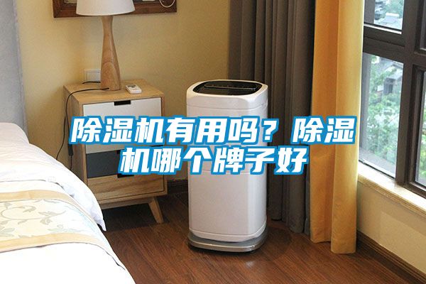 除濕機有用嗎？除濕機哪個牌子好