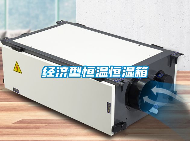 經濟型恒溫恒濕箱
