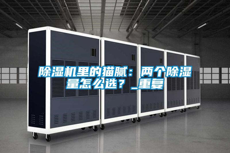 除濕機(jī)里的貓膩：兩個(gè)除濕量怎么選？_重復(fù)