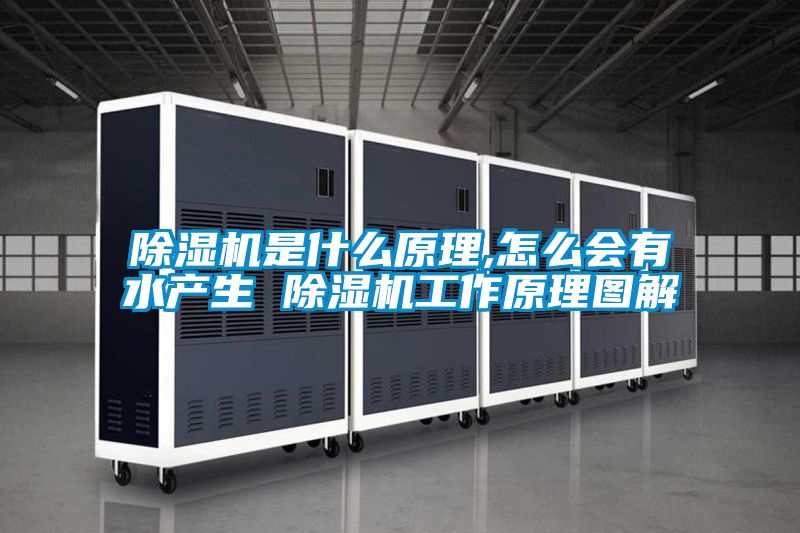 除濕機是什么原理,怎么會有水產生 除濕機工作原理圖解