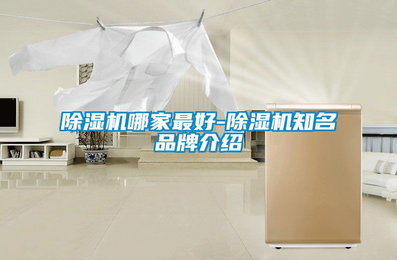 除濕機哪家最好-除濕機知名品牌介紹