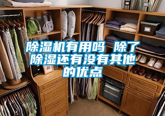 除濕機有用嗎 除了除濕還有沒有其他的優(yōu)點