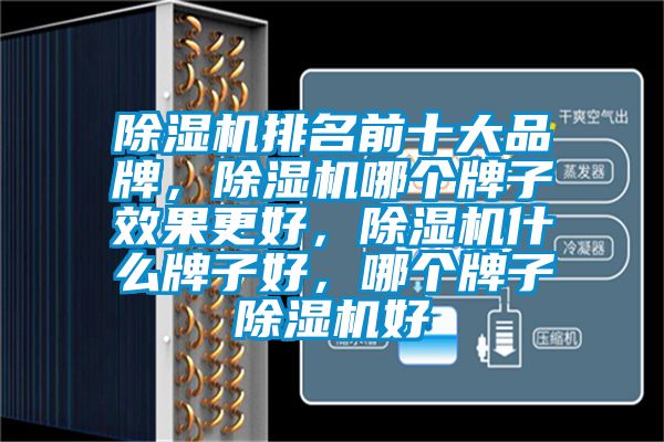 除濕機(jī)排名前十大品牌，除濕機(jī)哪個(gè)牌子效果更好，除濕機(jī)什么牌子好，哪個(gè)牌子除濕機(jī)好