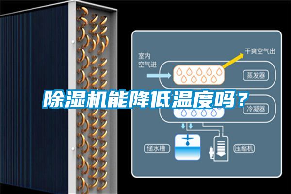 除濕機(jī)能降低溫度嗎？