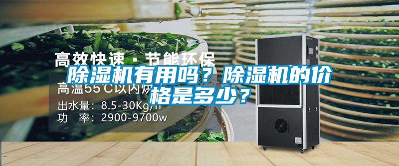 除濕機有用嗎？除濕機的價格是多少？