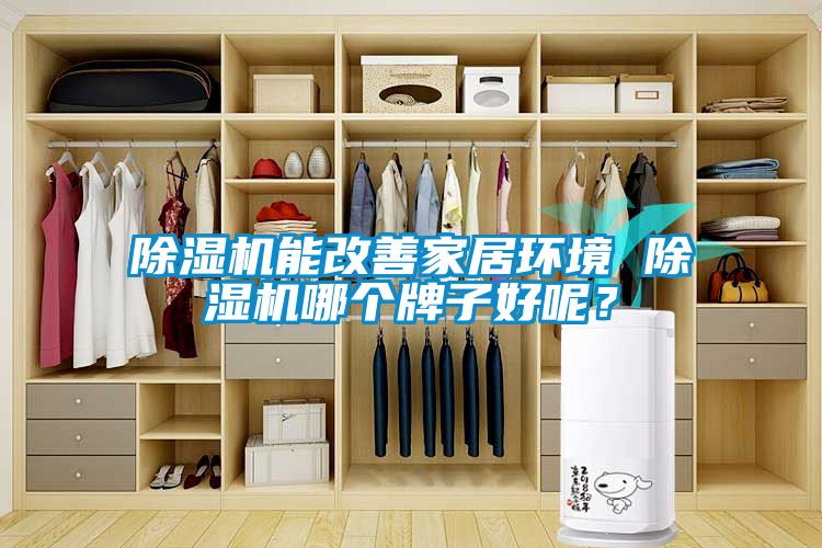 除濕機能改善家居環境 除濕機哪個牌子好呢？