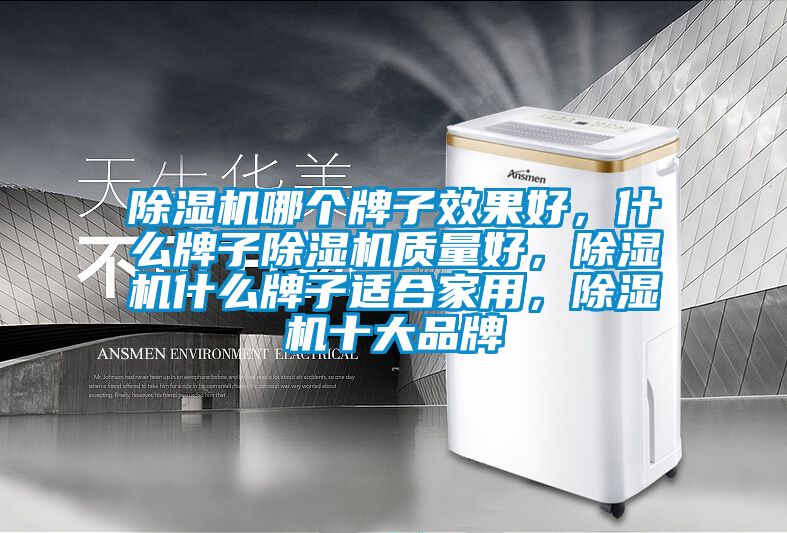 除濕機哪個牌子效果好，什么牌子除濕機質量好，除濕機什么牌子適合家用，除濕機十大品牌