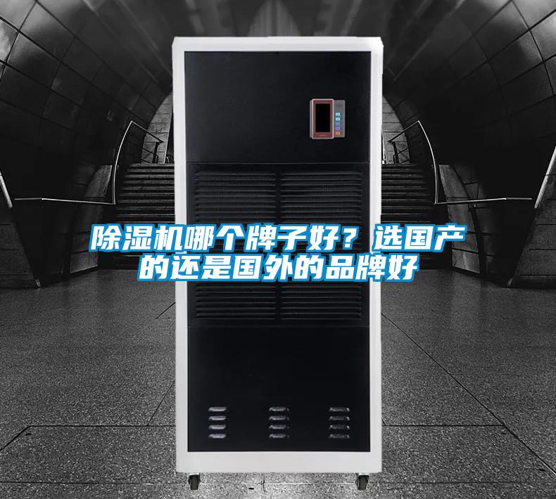 除濕機哪個牌子好？選國產的還是國外的品牌好