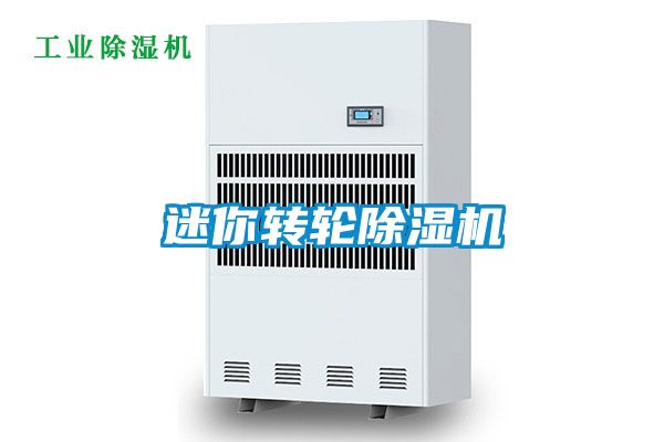 迷你轉(zhuǎn)輪除濕機