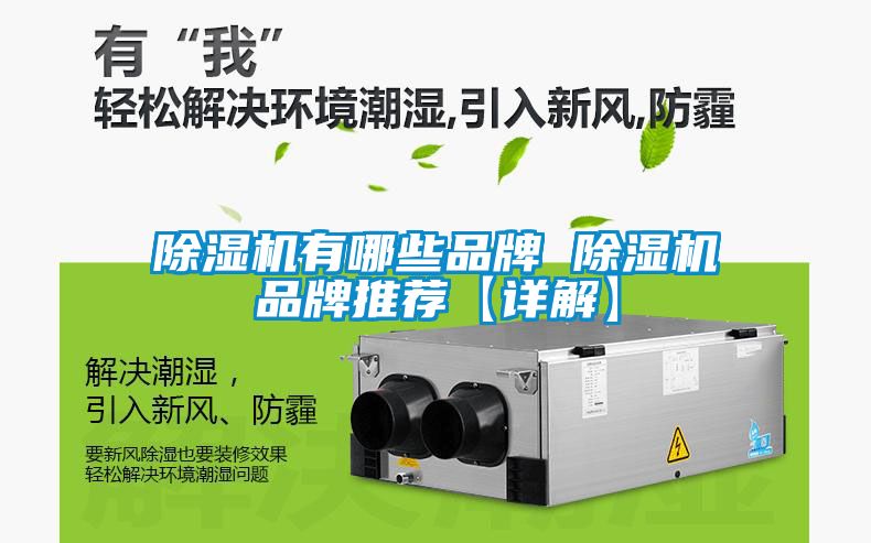 除濕機有哪些品牌 除濕機品牌推薦【詳解】