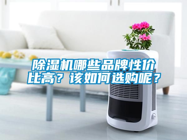 除濕機(jī)哪些品牌性價(jià)比高？該如何選購呢？