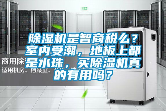 除濕機是智商稅么？室內受潮，地板上都是水珠，買除濕機真的有用嗎？