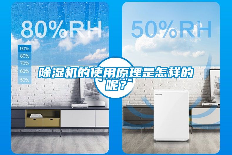除濕機的使用原理是怎樣的呢？