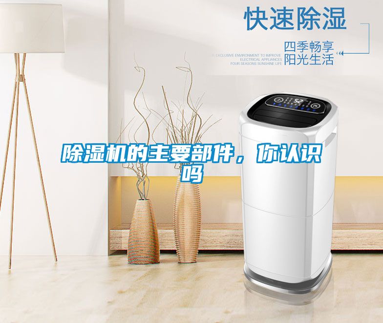 除濕機(jī)的主要部件，你認(rèn)識(shí)嗎