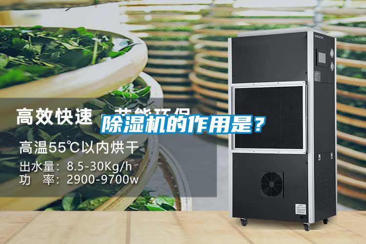 除濕機的作用是？