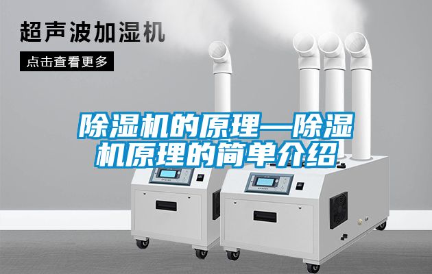 除濕機(jī)的原理—除濕機(jī)原理的簡單介紹