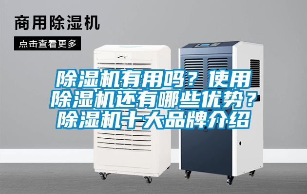 除濕機有用嗎？使用除濕機還有哪些優(yōu)勢？除濕機十大品牌介紹