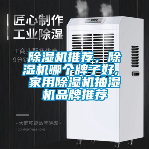 除濕機推薦，除濕機哪個牌子好, 家用除濕機抽濕機品牌推薦