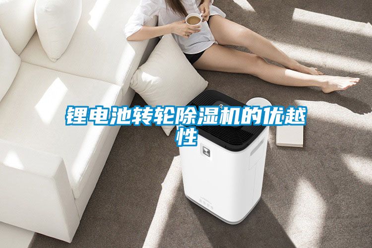 鋰電池轉(zhuǎn)輪除濕機的優(yōu)越性