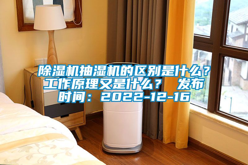 除濕機抽濕機的區別是什么？工作原理又是什么？ 發布時間：2022-12-16
