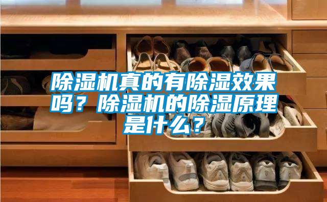 除濕機真的有除濕效果嗎？除濕機的除濕原理是什么？