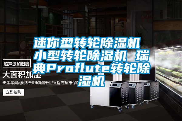 迷你型轉(zhuǎn)輪除濕機 小型轉(zhuǎn)輪除濕機 瑞典Proflute轉(zhuǎn)輪除濕機