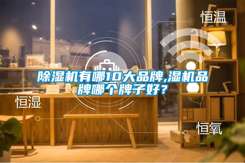 除濕機有哪10大品牌,濕機品牌哪個牌子好？