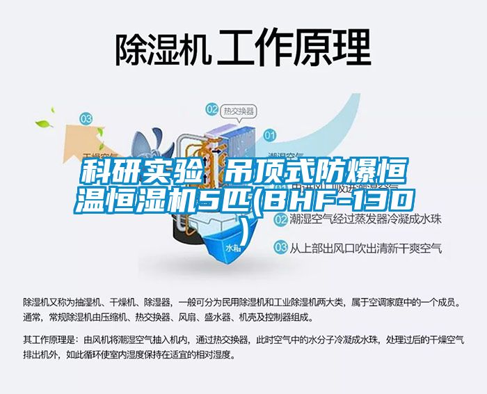 科研實驗 吊頂式防爆恒溫恒濕機(jī)5匹(BHF-13D)