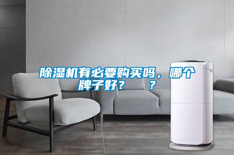 除濕機有必要購買嗎，哪個牌子好？  ？
