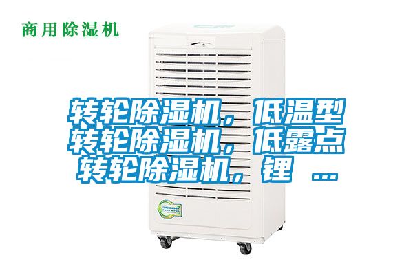 轉(zhuǎn)輪除濕機，低溫型轉(zhuǎn)輪除濕機，低露點轉(zhuǎn)輪除濕機，鋰 ...