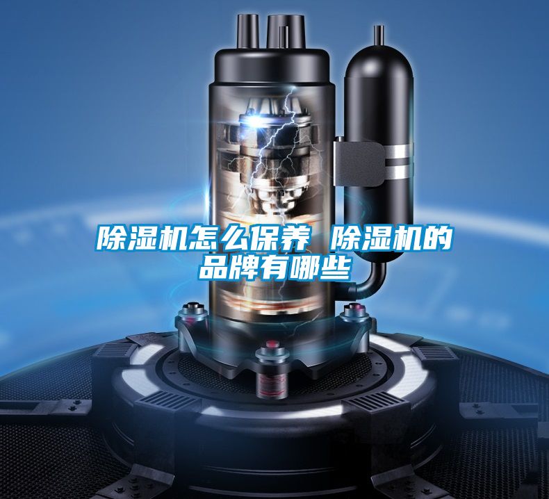 除濕機怎么保養 除濕機的品牌有哪些