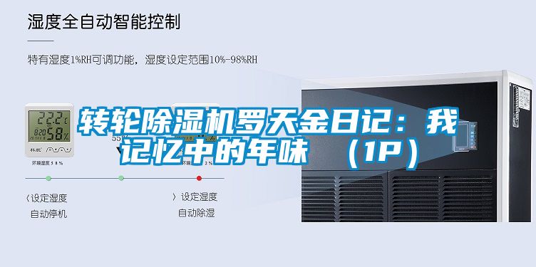 轉輪除濕機羅天金日記：我記憶中的年味 （1P）