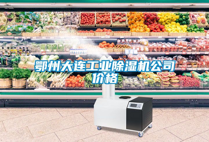 鄂州大連工業除濕機公司價格