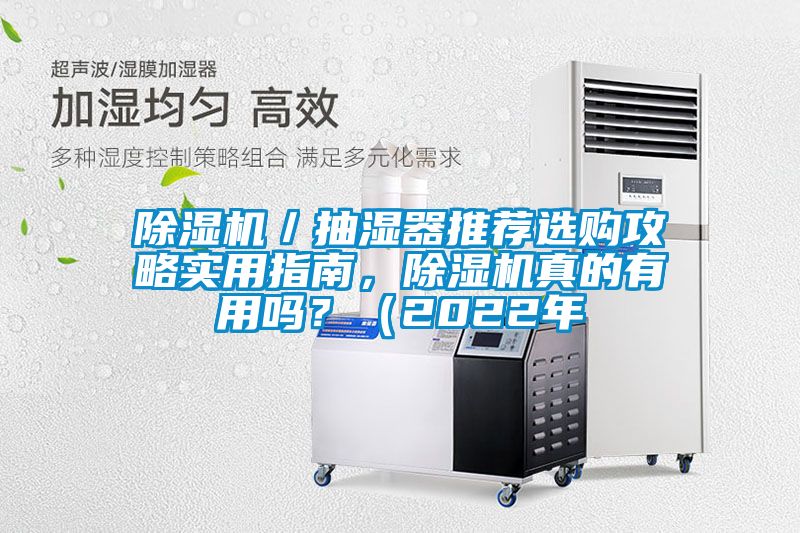除濕機(jī)／抽濕器推薦選購攻略實用指南，除濕機(jī)真的有用嗎？（2022年