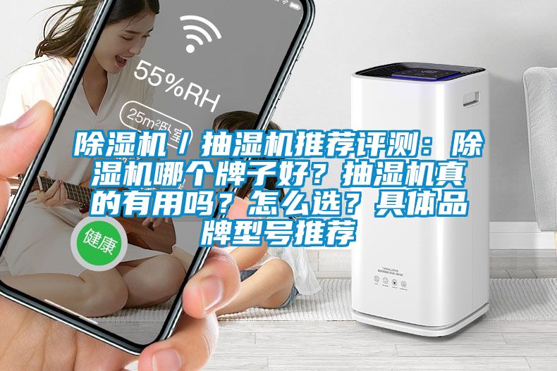 除濕機／抽濕機推薦評測：除濕機哪個牌子好？抽濕機真的有用嗎？怎么選？具體品牌型號推薦