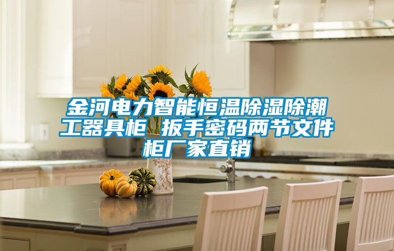 金河電力智能恒溫除濕除潮工器具柜 扳手密碼兩節文件柜廠家直銷