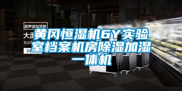 黃岡恒濕機6Y實驗室檔案機房除濕加濕一體機